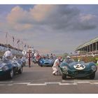 Celebrating the legendary D-Type 