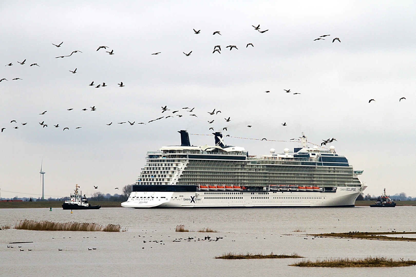 Celebrity ECLIPSE ... Foto 4