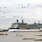 Celebrity ECLIPSE ... Foto 4