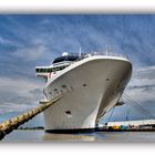 Celebrity  EQUINOX