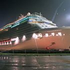 Celebrity Reflection