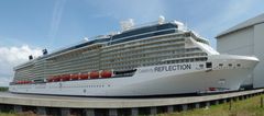 Celebrity Reflection