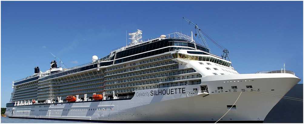 Celebrity SILHOUETTE