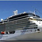 Celebrity SILHOUETTE