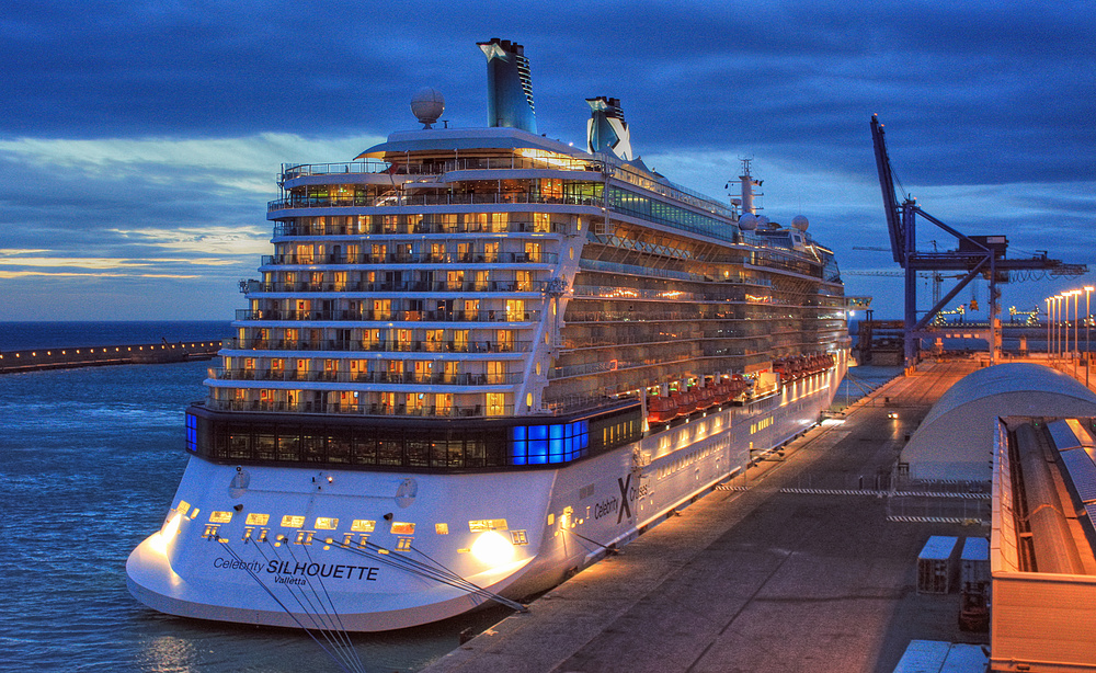 ´´Celebrity Silhouette ´´