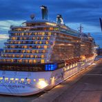 ´´Celebrity Silhouette ´´