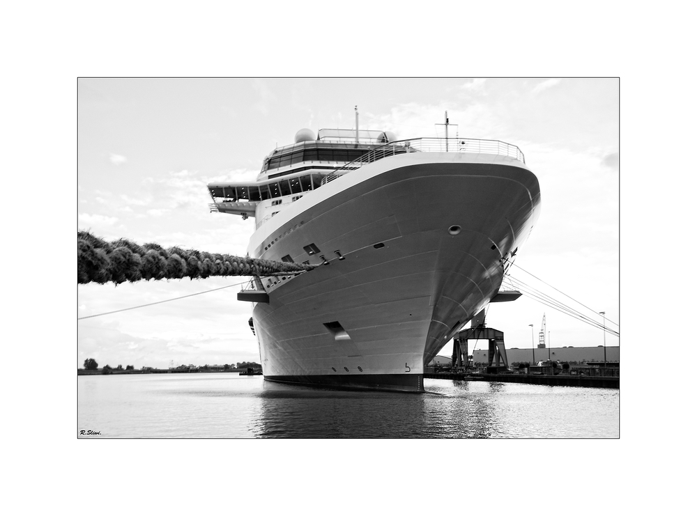 Celebrity Silhouette