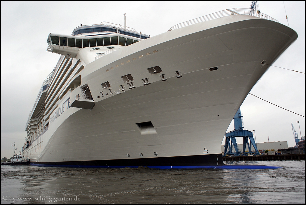 Celebrity Silhouette