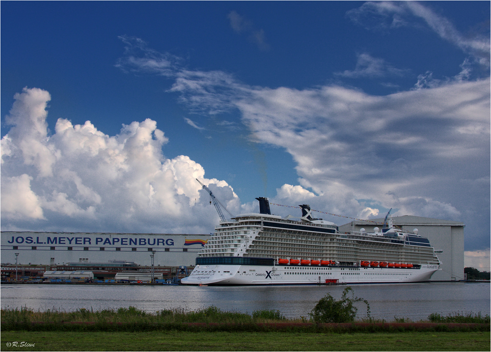 Celebrity Silhouette