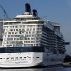 Celebrity SILHOUETTE