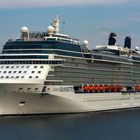 Celebrity Silhouette ...