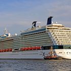 Celebrity Silhouette- einlaufend Hamburger Hafen