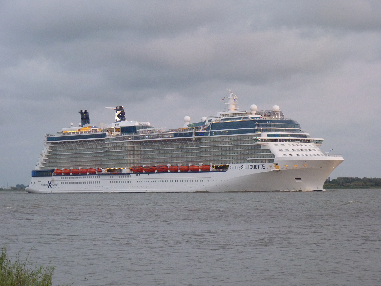 CELEBRITY SILHOUETTE