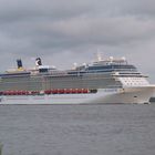 CELEBRITY SILHOUETTE