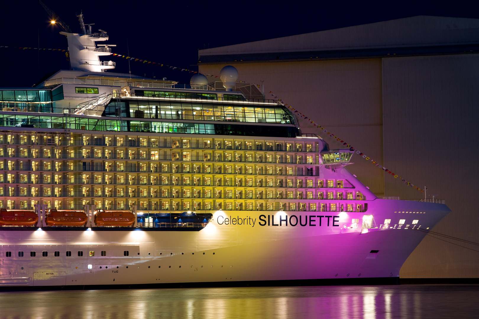 Celebrity Silhouette