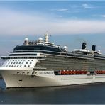 Celebrity SILHOUETTE mit Schwan