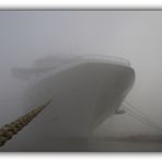 Celebrity Solstice im Nebel