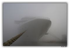 Celebrity Solstice im Nebel