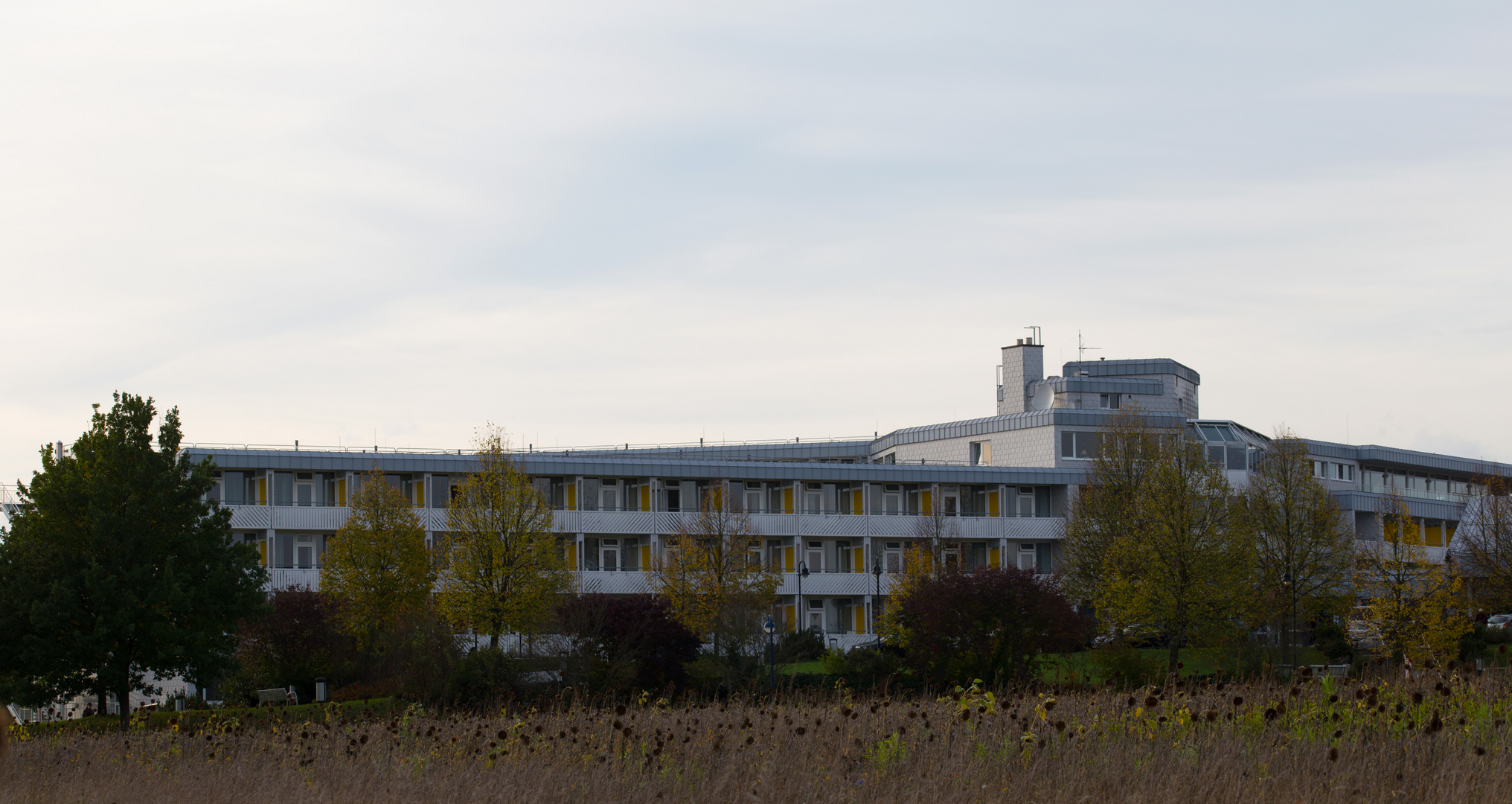 Celenus/Sigmund Weil Klinik Bad Schönborn