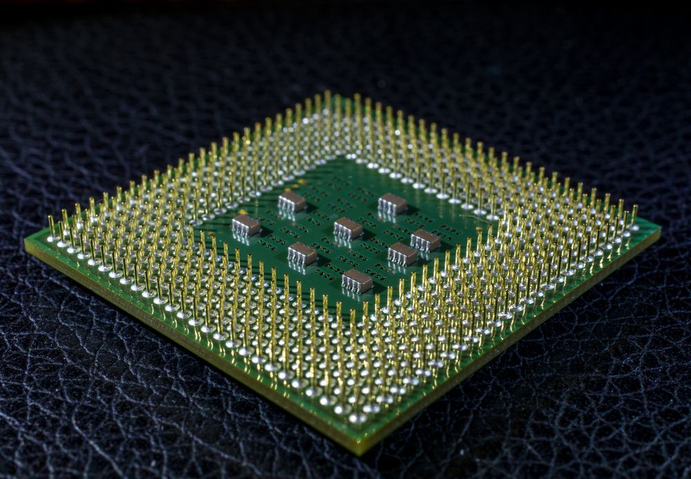 Celeron Foto & Bild | nah- & makro, techniken, aufnahme-techniken ...