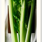 celery #1_I5A2939 neo