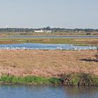 Celery Fields (northern part), Sarasota, Florida