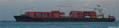 CELINA STAR / Container Vessel / Rotterdam / Bitte scrollen!