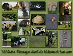 Celine - mit dem Planwagen durch die Uckermark