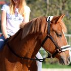 Celine und Lana zwei Herzen eine Seele