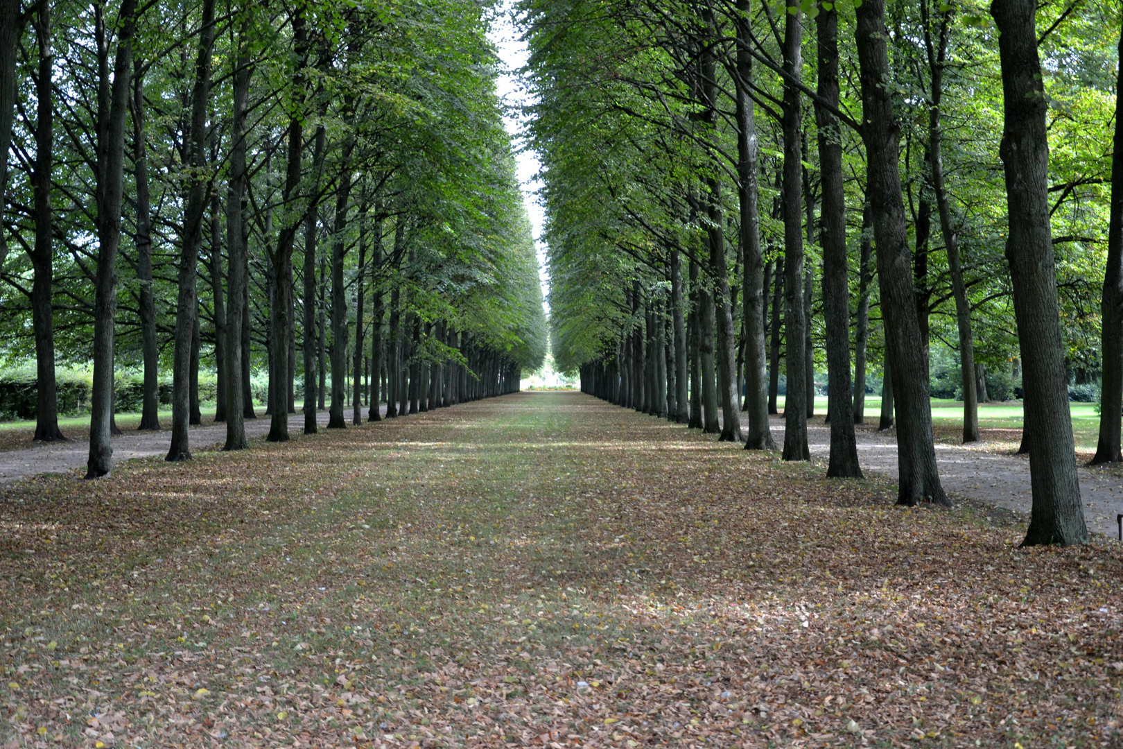 Celle / Französischer Garten  