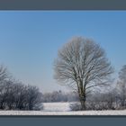 Celler Land im Winter