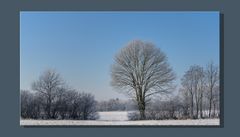 Celler Land im Winter