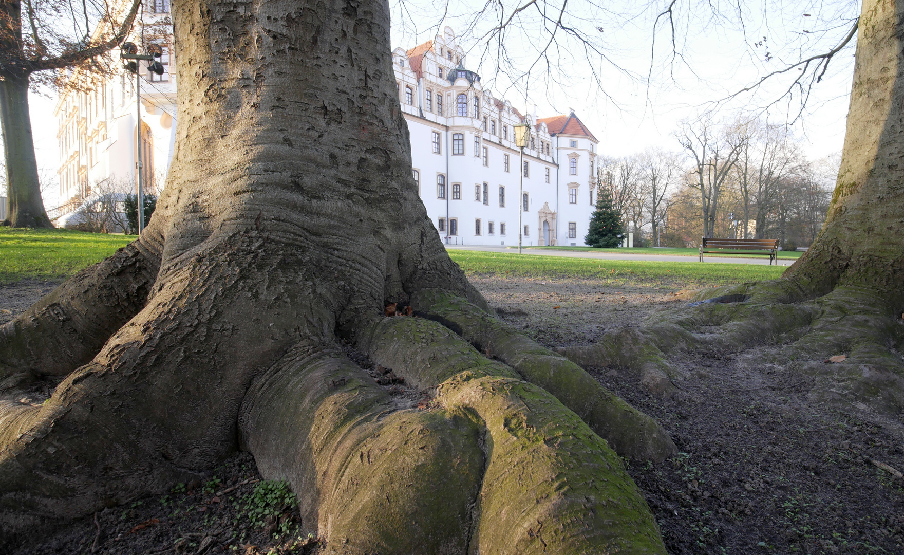 Celler Schloss 2