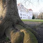 Celler Schloss 2