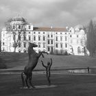 Celler Schloss durch Rotfilter