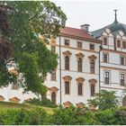 Celler Schloss im Nieselregen