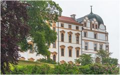 Celler Schloss im Nieselregen