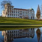 Celler Schloss im Spiegel