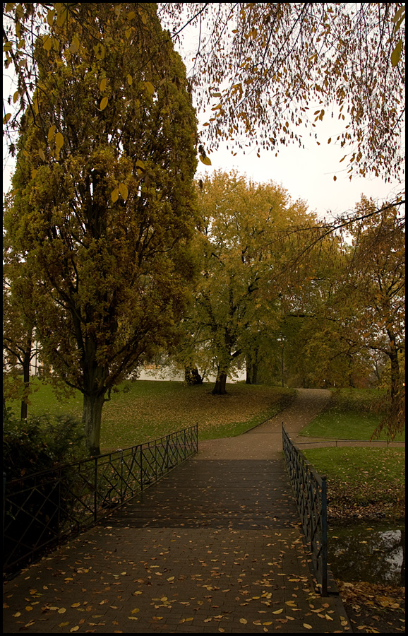 Celler Schlosspark im Herbst