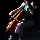 Cellistin2