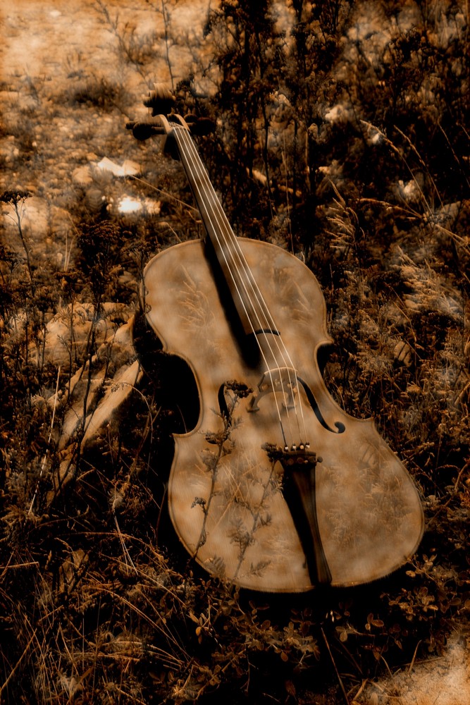 Cello 3