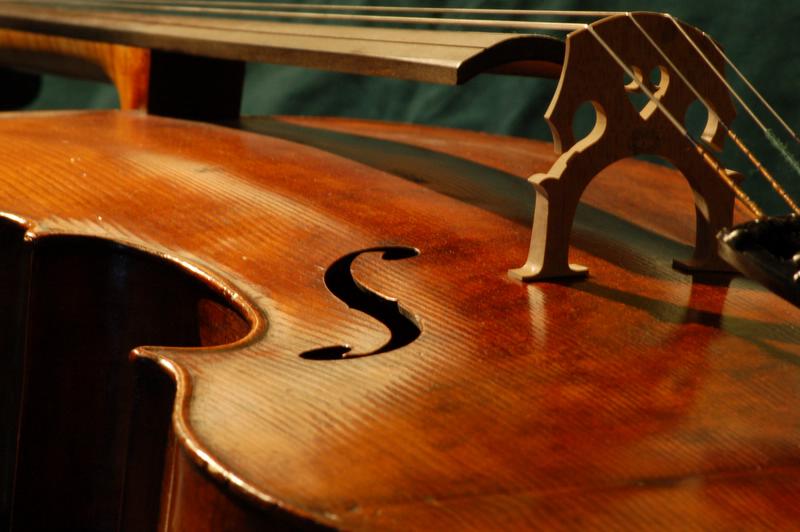 Cello Bauch