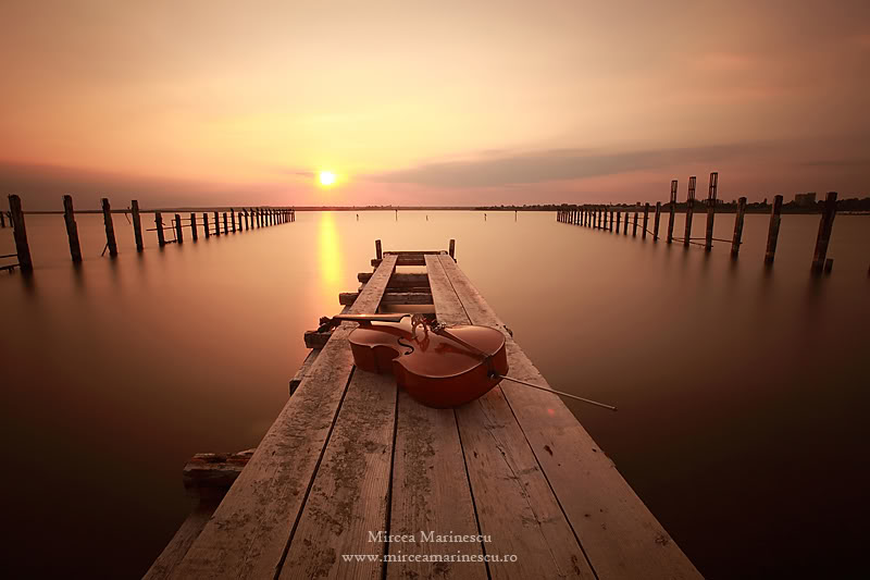 Cello concert for nature...