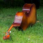 cello im gras