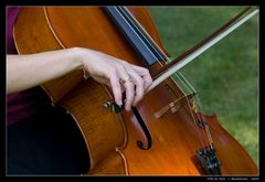 Cello im Park