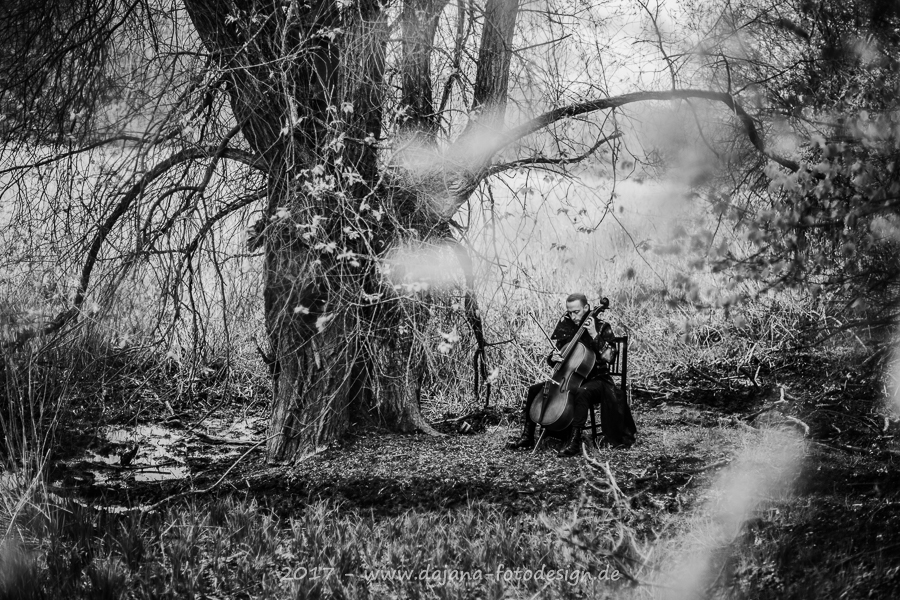 Cello in der Natur