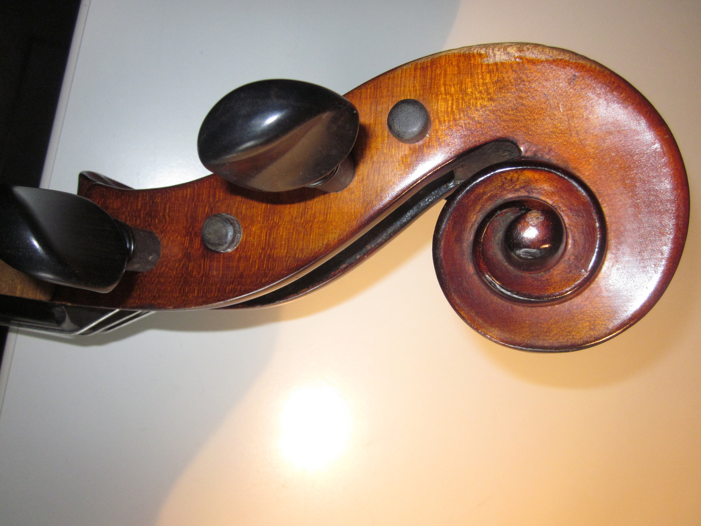 Cello-Schnecke