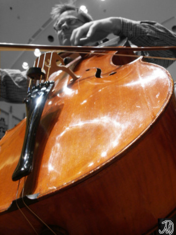 Cello_1_