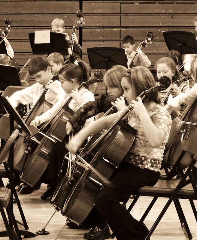 Cellos section