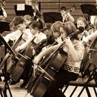 Cellos section